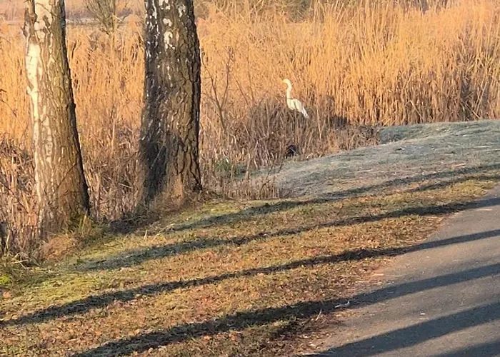 Jasmin Haßfurt