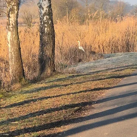 Jasmin Haßfurt